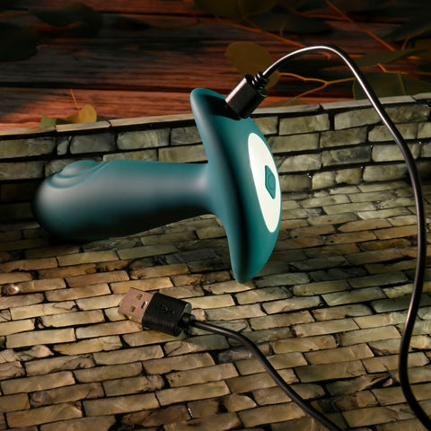 V6H1847A01018AEBECE75EAA5895EA721A5R4901481P6