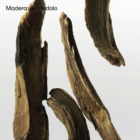 V4H326299D38D33FC3D983EDE57975D8C0ER7125026P10