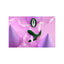 V4H935E730B201F58FE8508B5A6A12F9F49R4663659P9