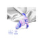 V6H3297C994BC3BB32171B9F42CD0D97CAER4786025P5