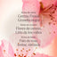 V2H206A9050C818A88AFFF833B27CE6839CR7407083P4
