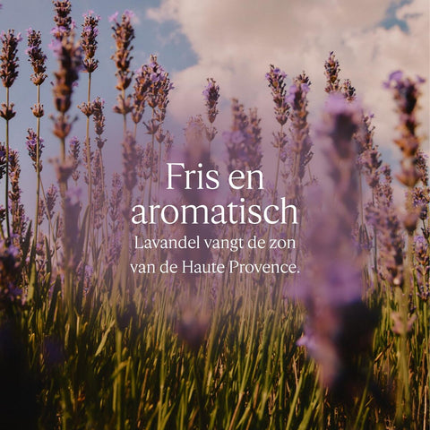 V2HF2013E36B5767A2149BBF114AF84451ER7711903P2