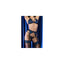 V4H08F9EE82C0A8E2C4DBF252EE74A7DB0FR4794346P4