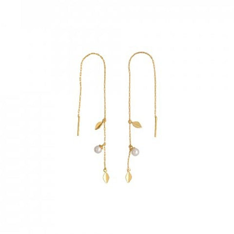 V6H6B464E22CAB705C9049BFBF929C1D2ADR3645504P1